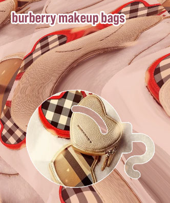 Burberry makeup bag