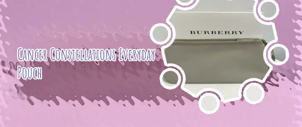 Burberry makeup pouch