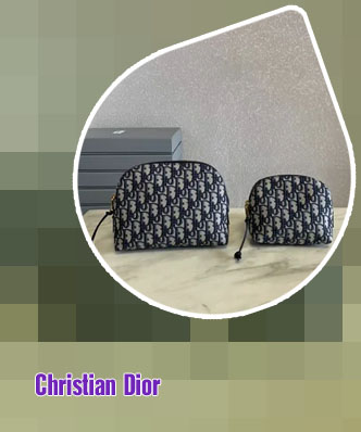 Christian dior makeup bag
