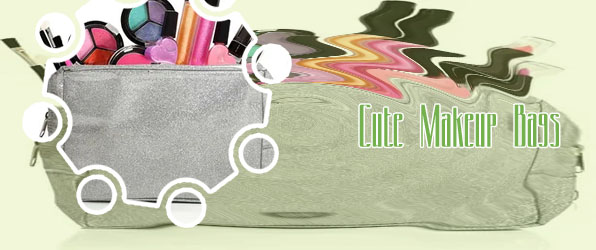 Glitter makeup bag
